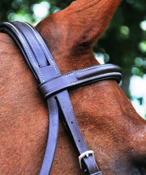  KL Select Black Oak Aster crown/brow band