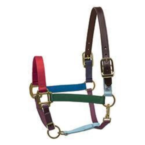 Perri's Color Vision Nylon Breakaway Halter