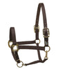 Perri's Premium Nylon Safety Halter