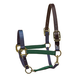 Perri's Color Vision Nylon Breakaway Halter