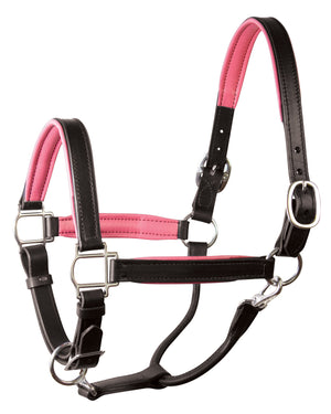 perri's soft padded leather turnout halter black and pink