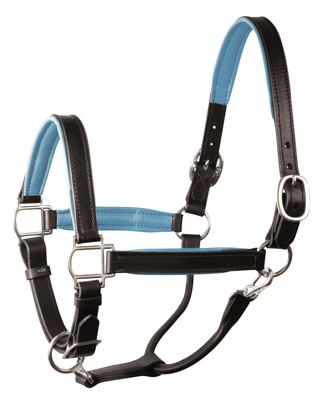 perri's soft padded leather turnout halter black sky blue