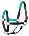 perri's soft padded leather turnout halter black and turquoise