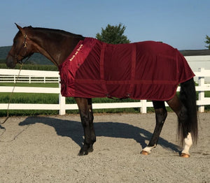 back on track mesh sheet burgundy