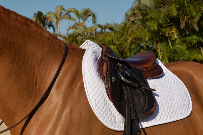 Equifit Essential Square Pad