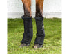 back on track quick wraps on horse