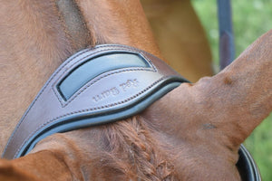 Red Barn Arena Bridle