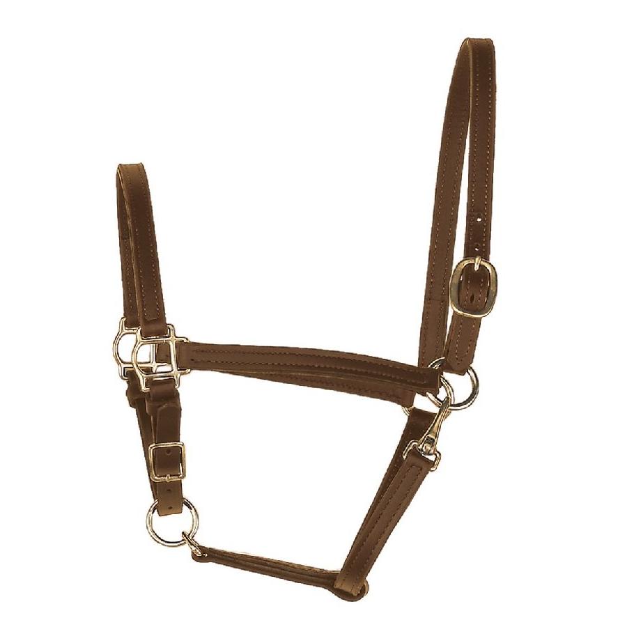 Perri's Leather Turnout Halter